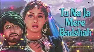 Tu Naja Mere Badshah - Full Audio | Khuda Gawah | Amitabh Bachchan | Sridevi | Bollywood Sad Song