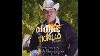 Mix De Puros Corridos De El Tigrillo Palma