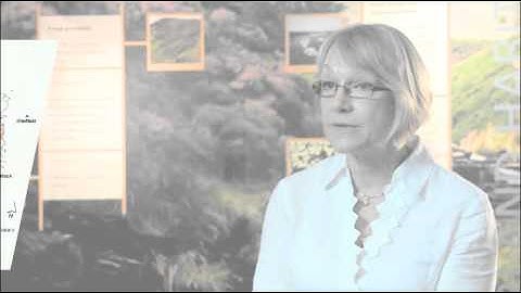 Mapping wildfire risk