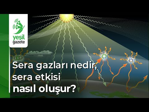 Video: Sera gazları Dünya'yı nasıl etkiler?