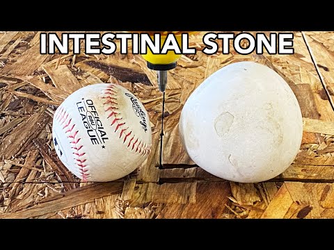 Horse Intestinal Stone Cut in Half with Waterjet