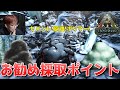 フィヨルドの原油・ポリマー・セメントの採取ポイント解説!【ARKフィヨルド 実況 KTR Gaming】