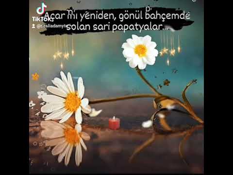 Hiraizerdüş 🎶🌼🎶 Papatya 🌼🎶 Duygusal Müzikler ❤️