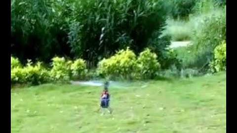 E-Sky belt CP-V2 Radio controlled electric helicopter (official video)