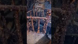 Britannic . #titanic #history #shipwreck #shipwreckers