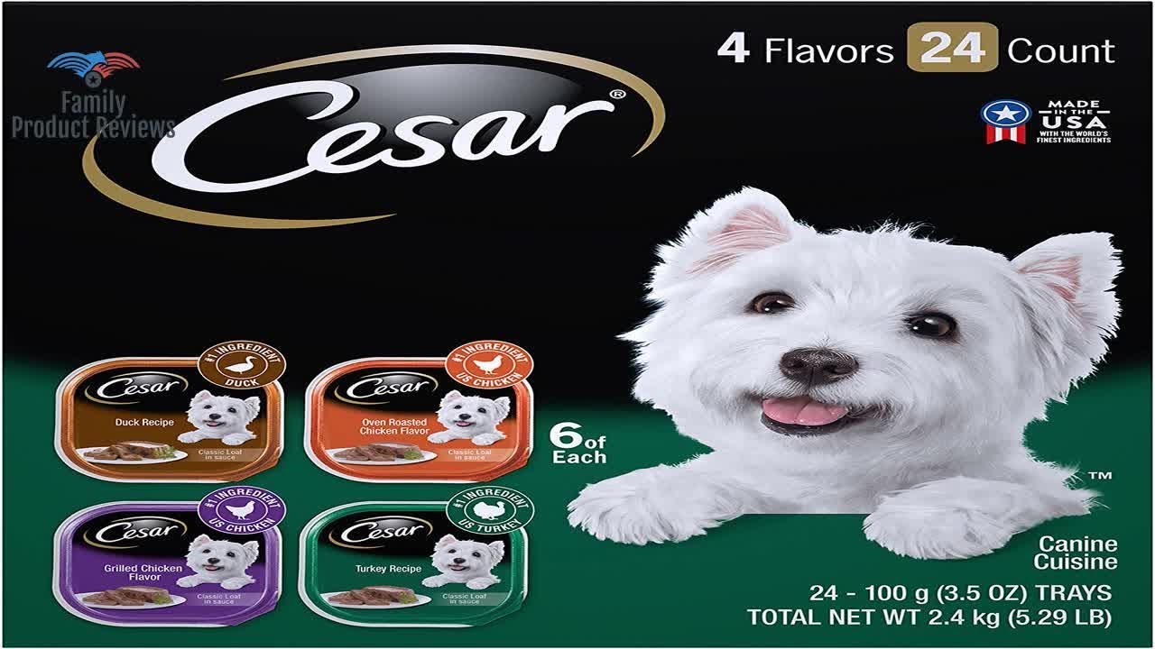 CESAR Gourmet Wet Dog Food Variety Packs YouTube