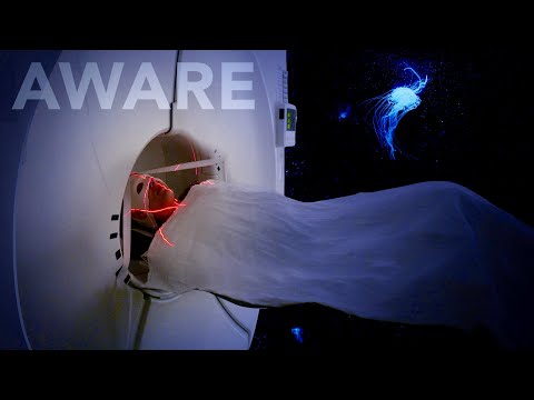 Aware: Glimpses of Consciousness - Official Theatrical Trailer