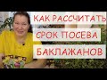 КОГДА СЕЯТЬ БАКЛАЖАНЫ НА РАССАДУ. КАК РАССЧИТАТЬ СРОК ПОСЕВА БАКЛАЖАН ДЛЯ ВАШЕГО РЕГИОНА