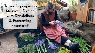 April Journal - Drying Wildflowers, Dandelion Dye & Sauerkraut