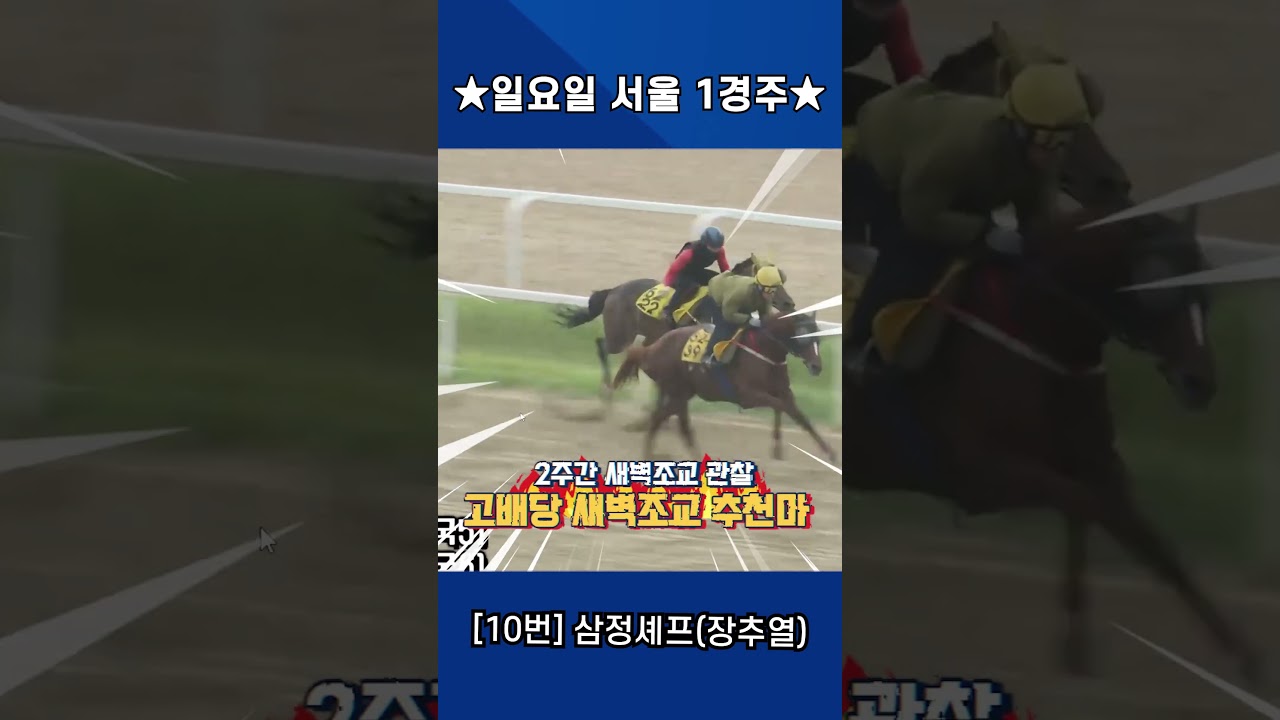 7월26일 일요일 서울 1경주!! 2주간 훈련보인 강백호의 새벽조교 쏘스마!!