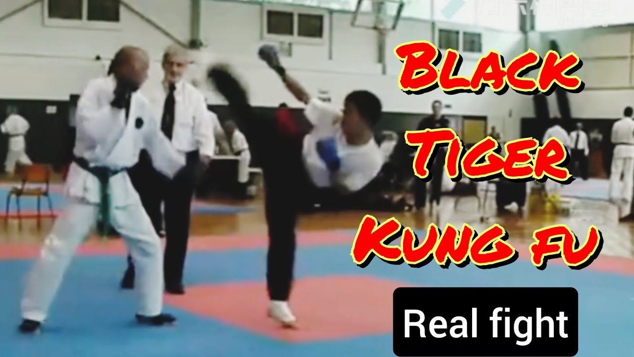 Real Kung Fu fight EP 35/ Black tiger Kung fu
