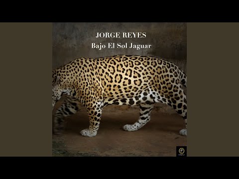 Jorge Reyes — Ver Cosas Nunca Oidas