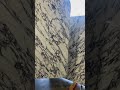 Calacatta Violet Marble #marble #calacatta #violet #shorts