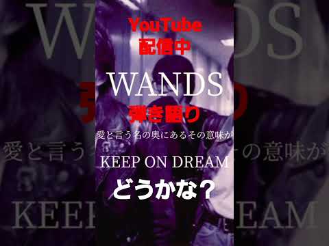 WANDS KEEP ON DREAM Shorts