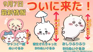 ちいかわおしりふりふりBIGぬいぐるみ　くりまんじゅうラッコハチワレ　7点まとめ ちい*かわ おしりふりふりBIGぬいぐるみ *ちい*かわ* 全1種