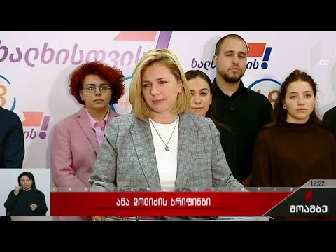 ანა დოლიძის ბრიფინგი