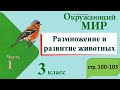 Размножение и развитие животных. Окружающий мир. 3 класс, 1 часть. Учебник А. Плешаков стр. 100-105