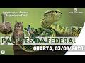 Palpite Federal Jogo do Bicho do dia 03/06/2026 - Resultado Fácil