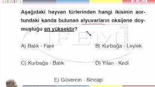 Dolaşım Sistemi - 1 - k2 - 37049