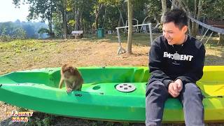 Time has passed but Dad still wants to bring Monkey Kaka back
