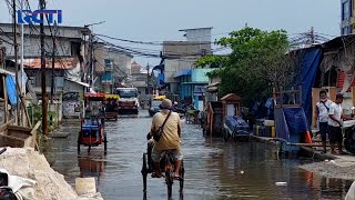 Ratusan Rumah di Muara Angke, Diterjang Banjir ROB #SeputariNewsSiang 06/12