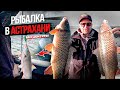 Рыбалка в Астрахани без Цензуры. Жор Сазана, Жереха и Щуки.