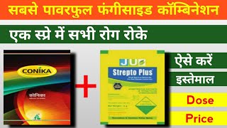Best Fungicide Combination Conika Fungicide Streptocycline Copper Oxichloride 45%