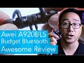 Awesome Awei A920BLS Bluetooth Headphones Review - Under $25 & Feature Packed