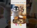 beautiful penguin 🐧 baby 😘🥀#penguin #instareels #tranding #viral #viralreels #instagram #fypシ゚viral