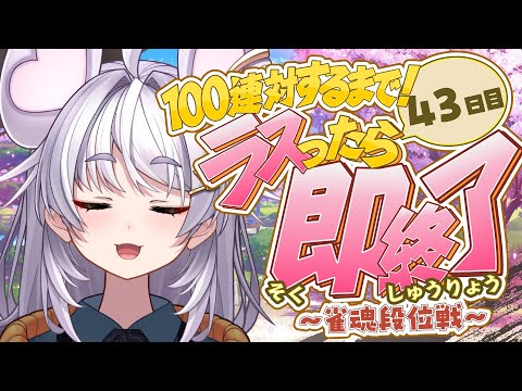 【🀄️#雀魂 🀄️】金の間🔥ラスったら即終了🔥100連対するまで!43日目【ぶいぱい / アップランド 】#新人vtuber video thumb