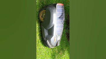 Robot cutting lawn