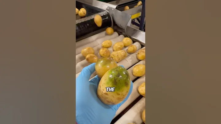 Different Potato Diseases & what causes them #potato