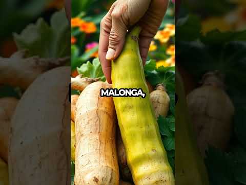 Unlock Florida's Gardening