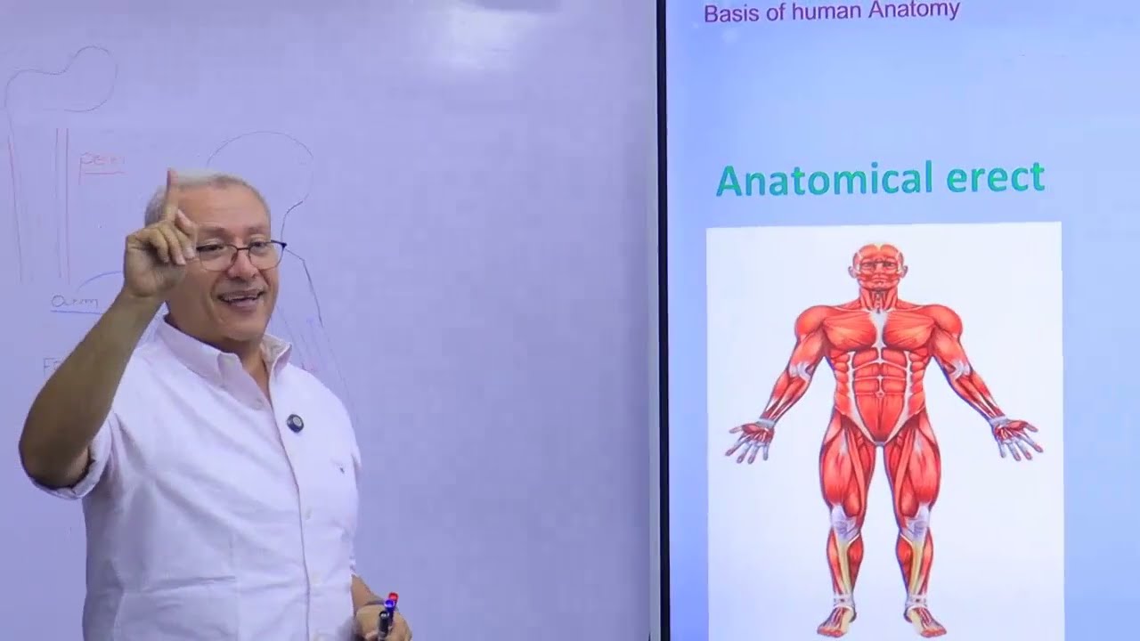 الحصة الثانية أناتومى 101 د/ أحمد جلال