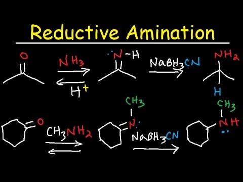 NaBH3CN ಜೊತೆಗೆ ಕೀಟೋನ್‌ಗಳು ಮತ್ತು ಆಲ್ಡಿಹೈಡ್‌ಗಳ ರಿಡಕ್ಟಿವ್ ಅಮಿನೇಷನ್