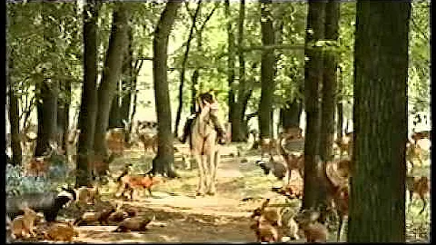 E4 Adverts 2007 (34)