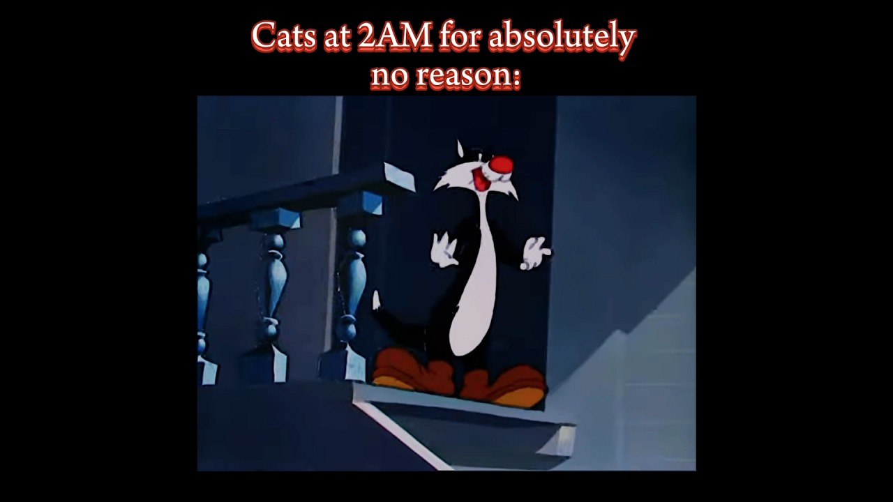 Cats be like: #memes #cats #nostalgia