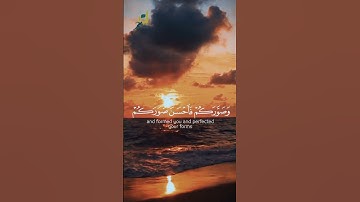 تلاوة تخطف القلوب للشيخ رعد الكردي ♥️