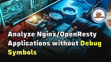 Analyze OpenResty/Nginx Applications without Debug Symbols (using OpenResty XRay)