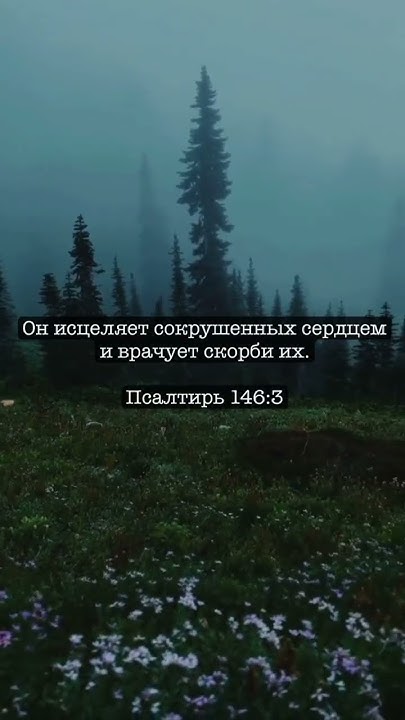 Стих из Библии || Псалтырь 146:3 🔥🙏🕊️ ️ - YouTube