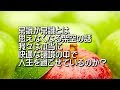 常識が常識で無くなる架空の話 我々は本当に快適な環境の中で人生を過ごせているのか？