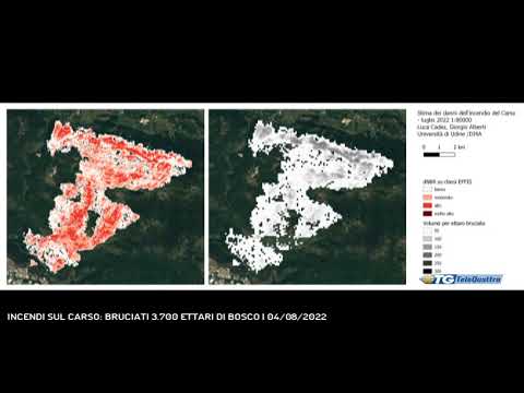 INCENDI SUL CARSO: BRUCIATI 3.700 ETTARI DI BOSCO | 04/08/2022