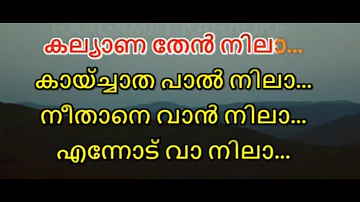 Kalyana Then Nila Karaoke With Malayalam Lyrics