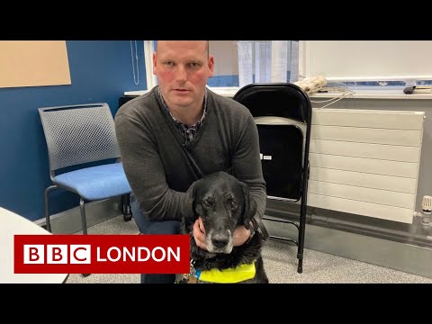 Tesco refuse access with guide dog- BBC London