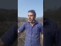 djamal bellal solidarité avec l'été noir
