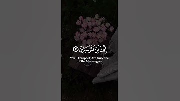 اكتب شيء تؤجر عليه ❤🦋#سورة_يس  #تلاوات #مشاري_العفاسي