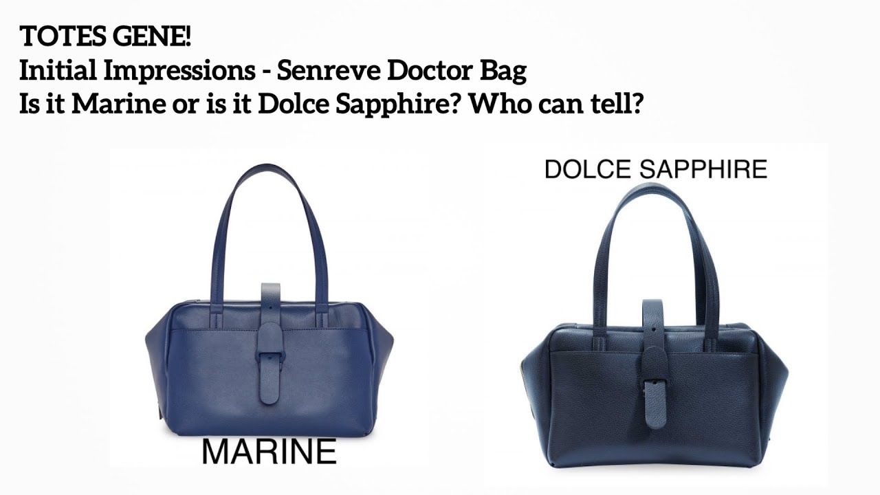 Senreve Doctor Bag Review, LMents of Style