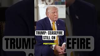 Trump Reveals Tense Call with Netanyahu as Hezbollah War Threatens Peace Deal  #israel #iran