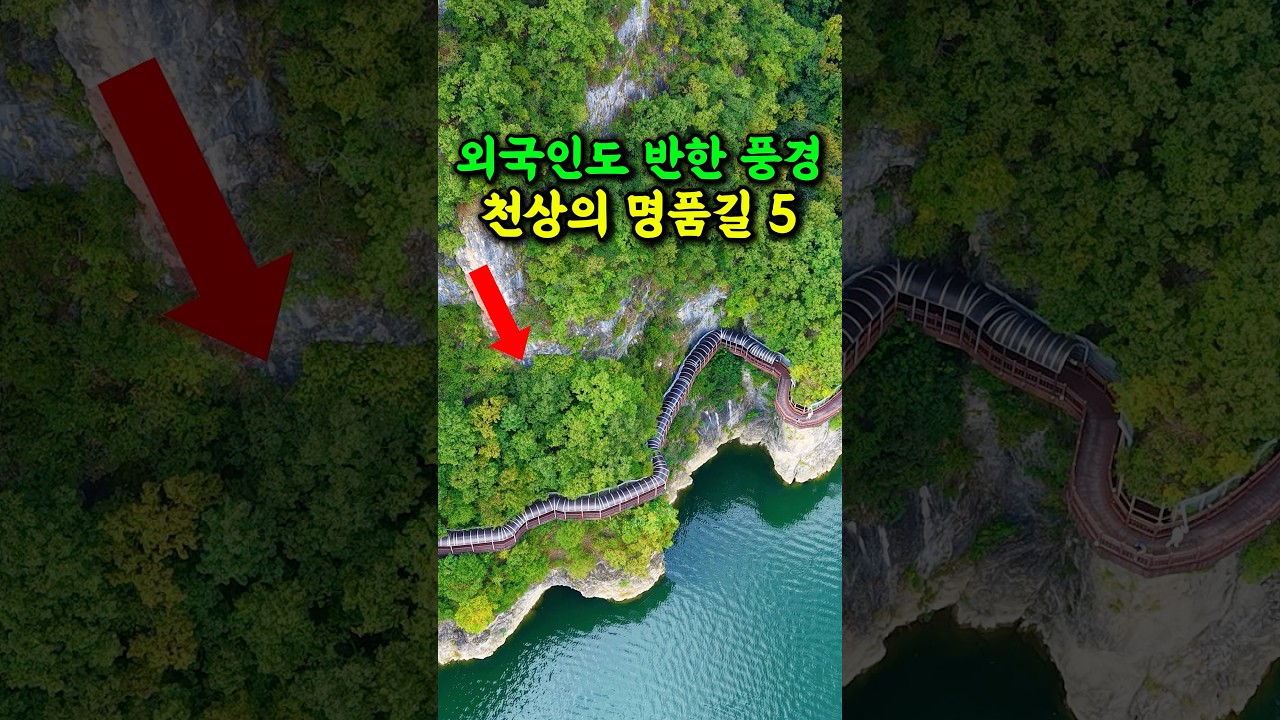 🔥 해외 뺨치는 풍경 외국인이 더 감탄한 천상의 명품길 #여행추천 #방문할곳 #시니어건강 #시니어여행 #국내여행 썸네일