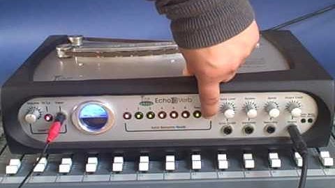 Echo verb Tape Echo @ www.mytapeecho.com